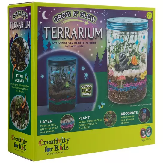 15 All-Inclusive Terrarium Kits to Help Naturally Brighten Your Home