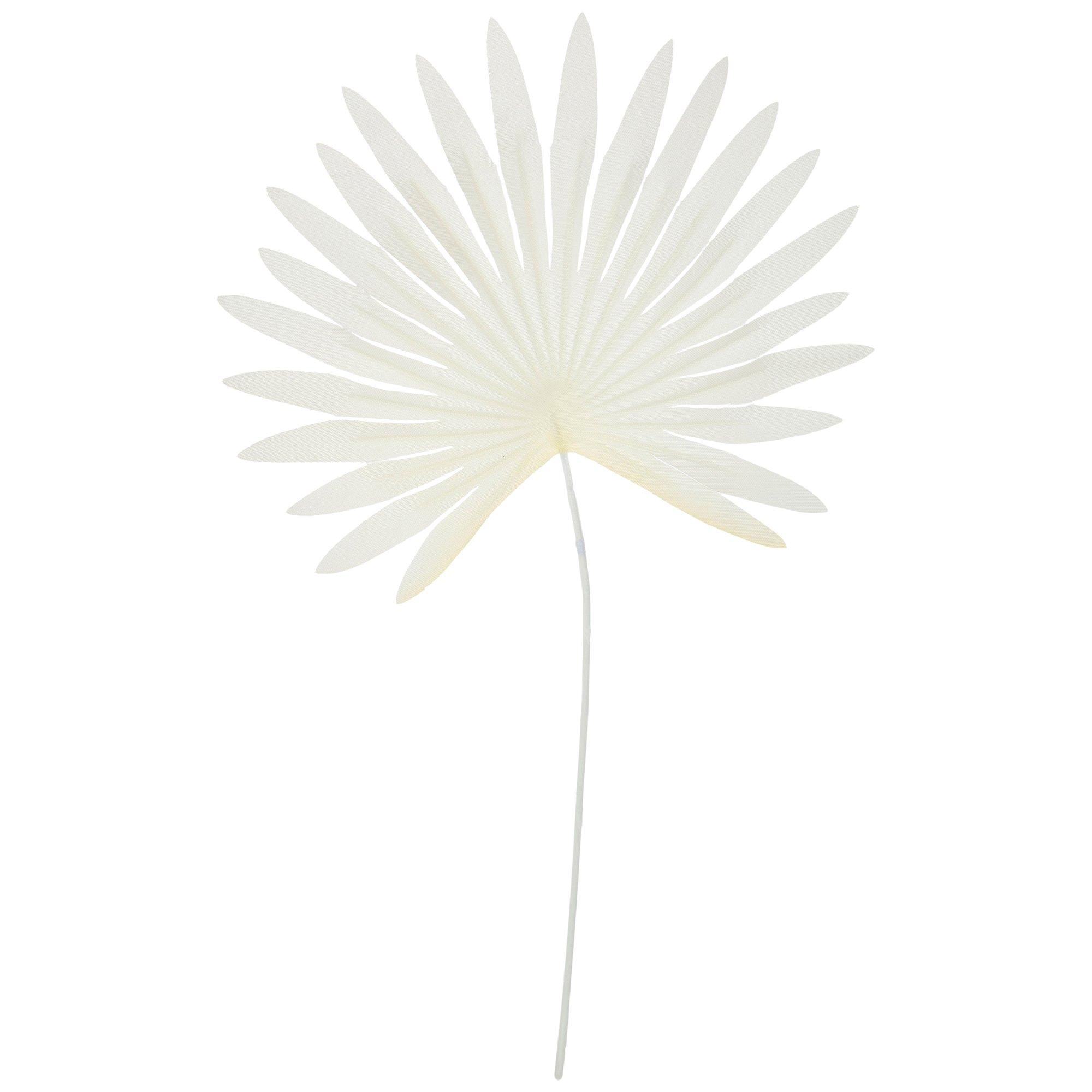 Cream Fan Palm Leaf Pick Hobby Lobby 2138154