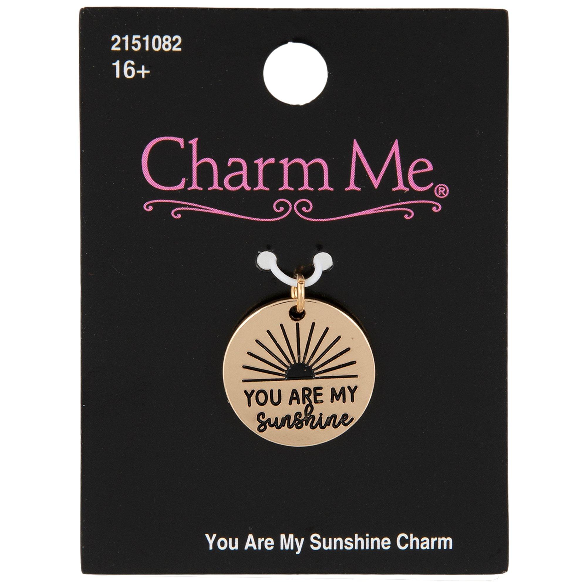 You Are My Sunshine Charm Hobby Lobby 2151082