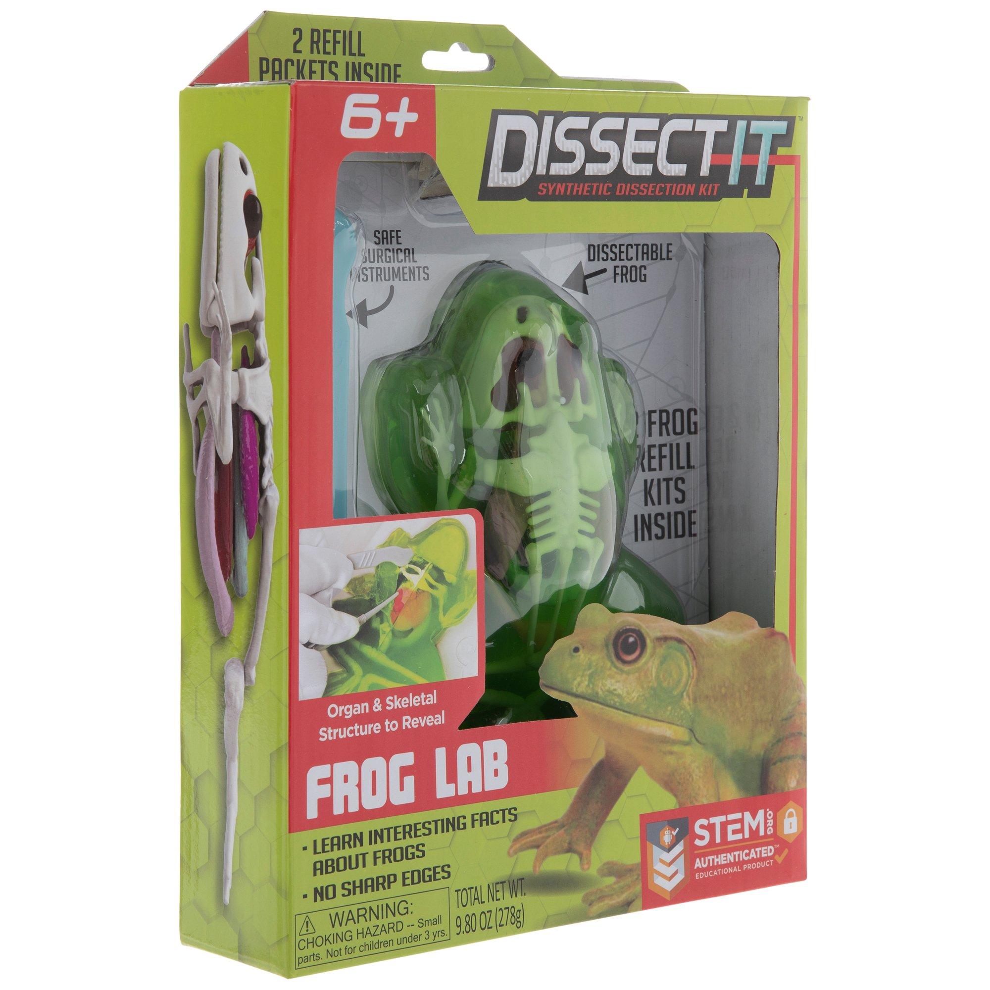 dissect frog