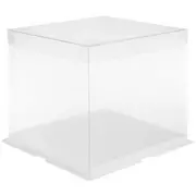 Clear Box With White Base