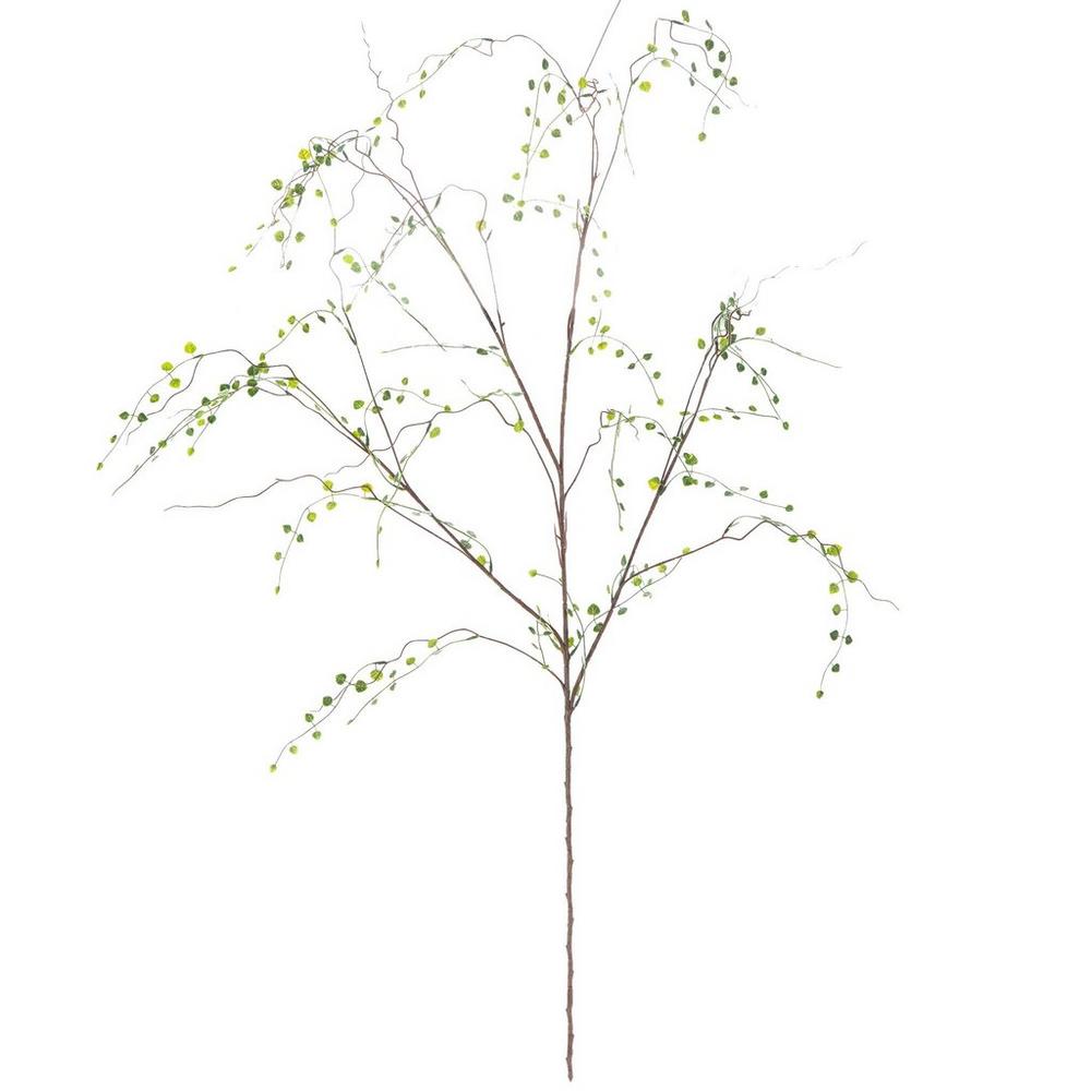 ★★senasan.★★ Small Money Leaf Branch | Hobby Lobby | 217166