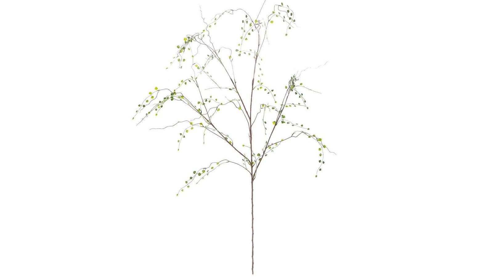 217166-102749-IMGSET?w=1600&h=900