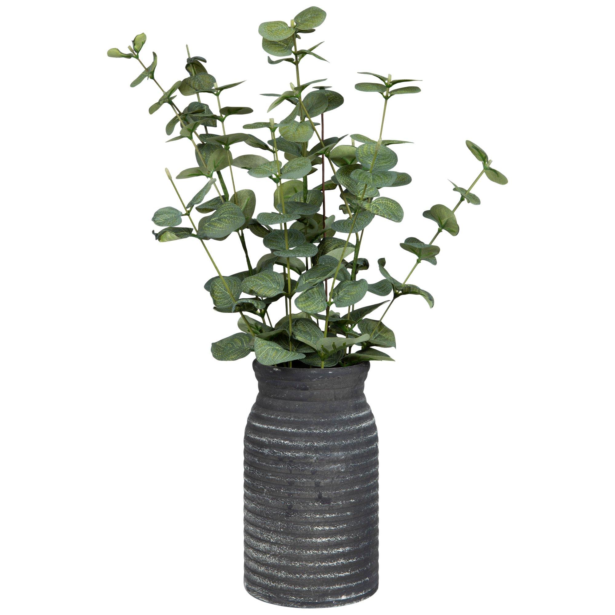 Eucalyptus In Black Ribbed Vase