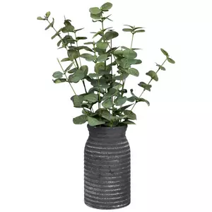 Eucalyptus In Black Ribbed Vase