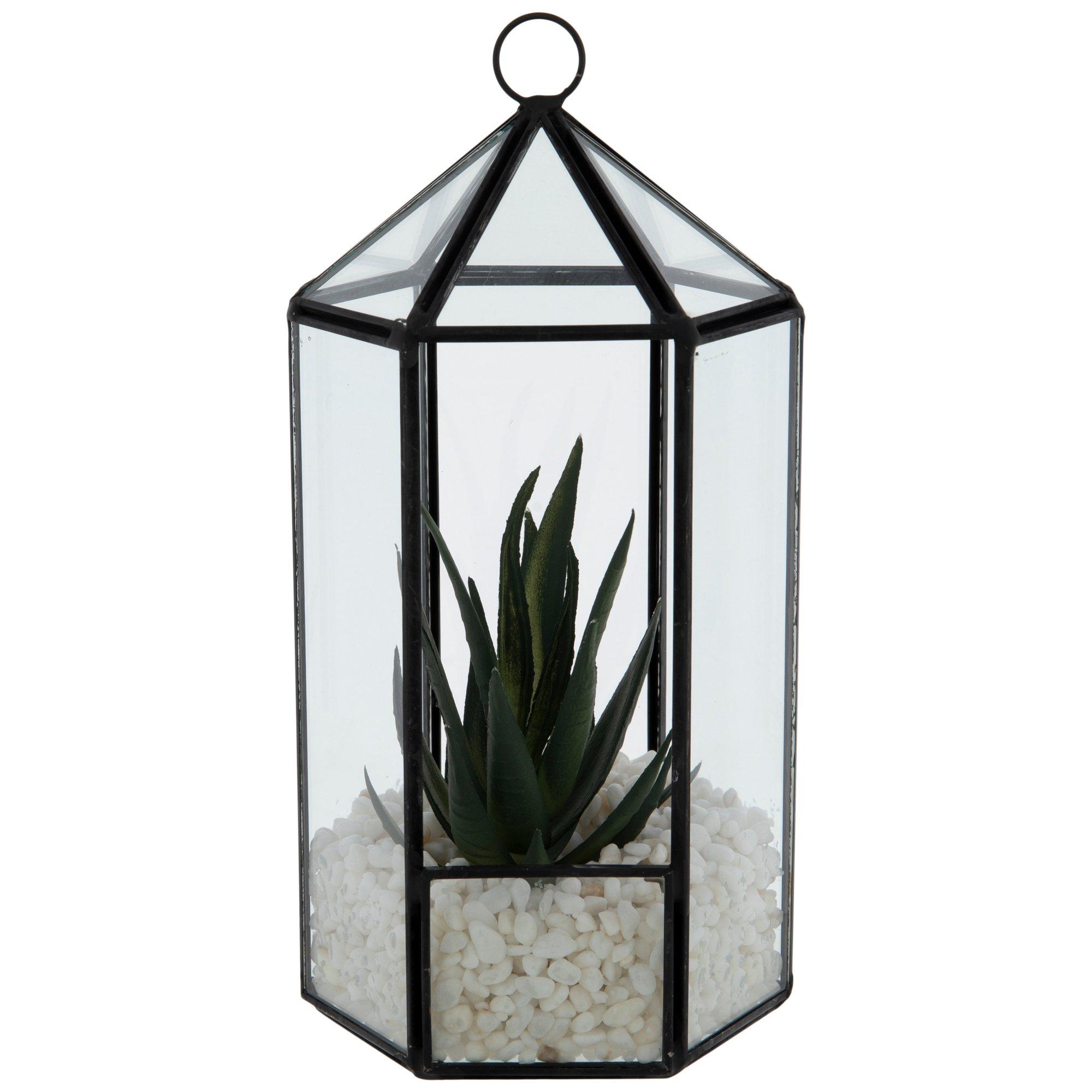 Succulent Glass Terrarium Hobby Lobby 2178069