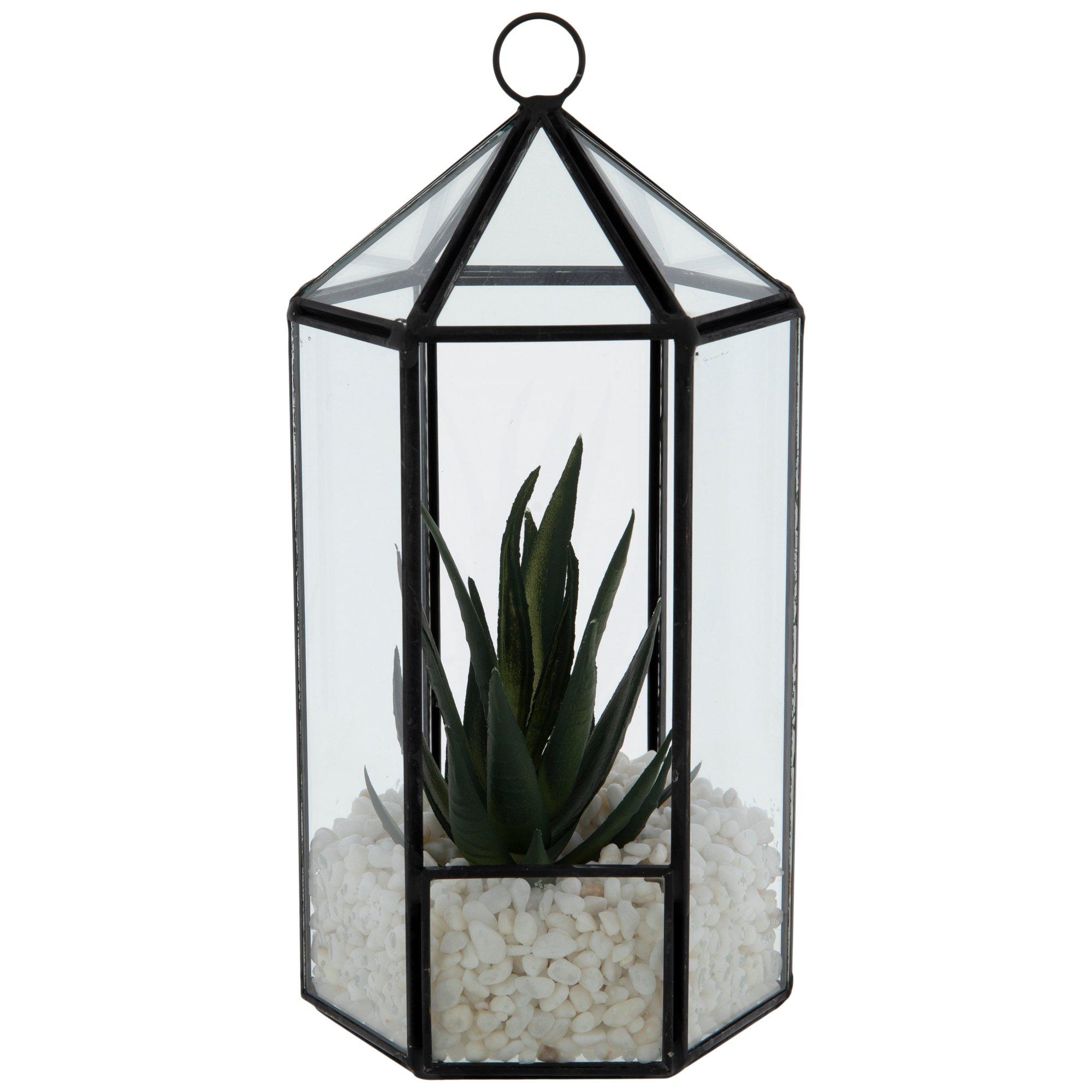 Glass Succulent Terrarium | Hobby Lobby | 2178069