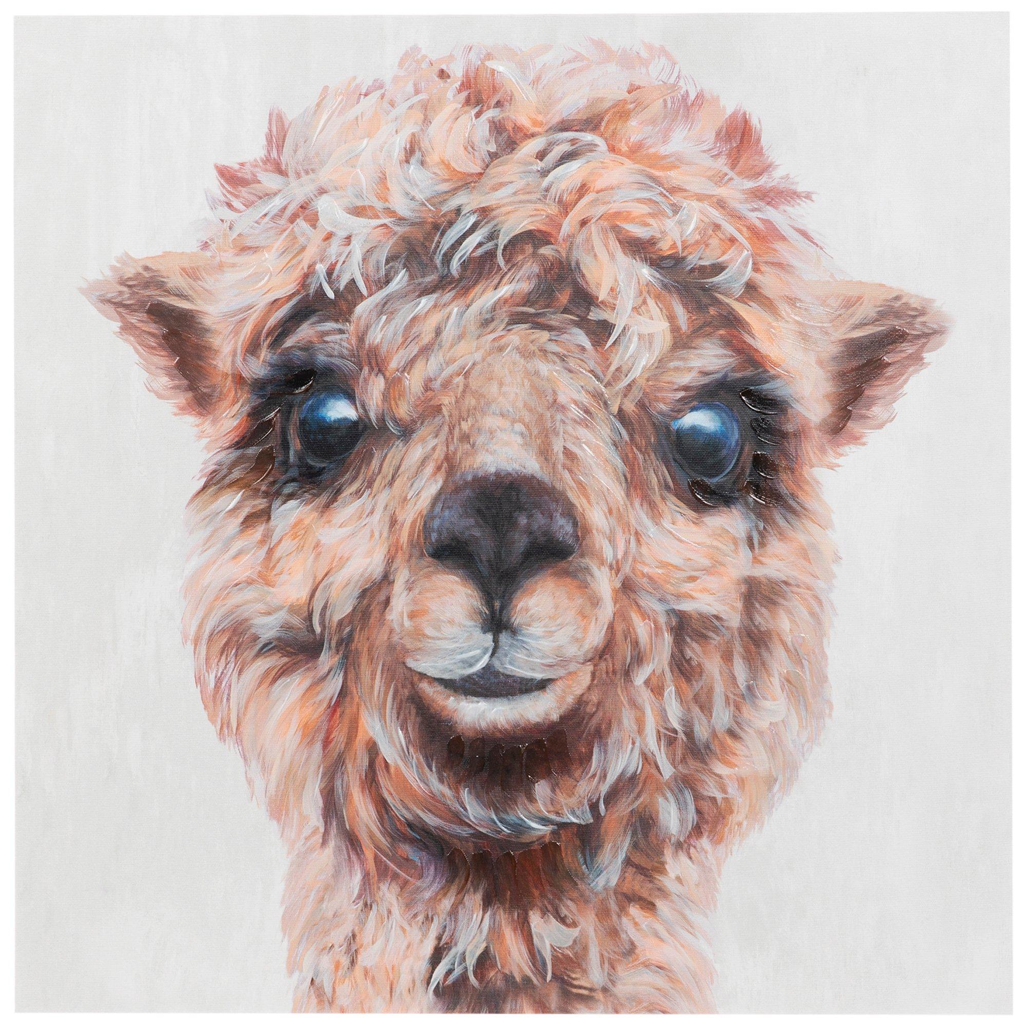 Llama Portrait Canvas Wall Decor