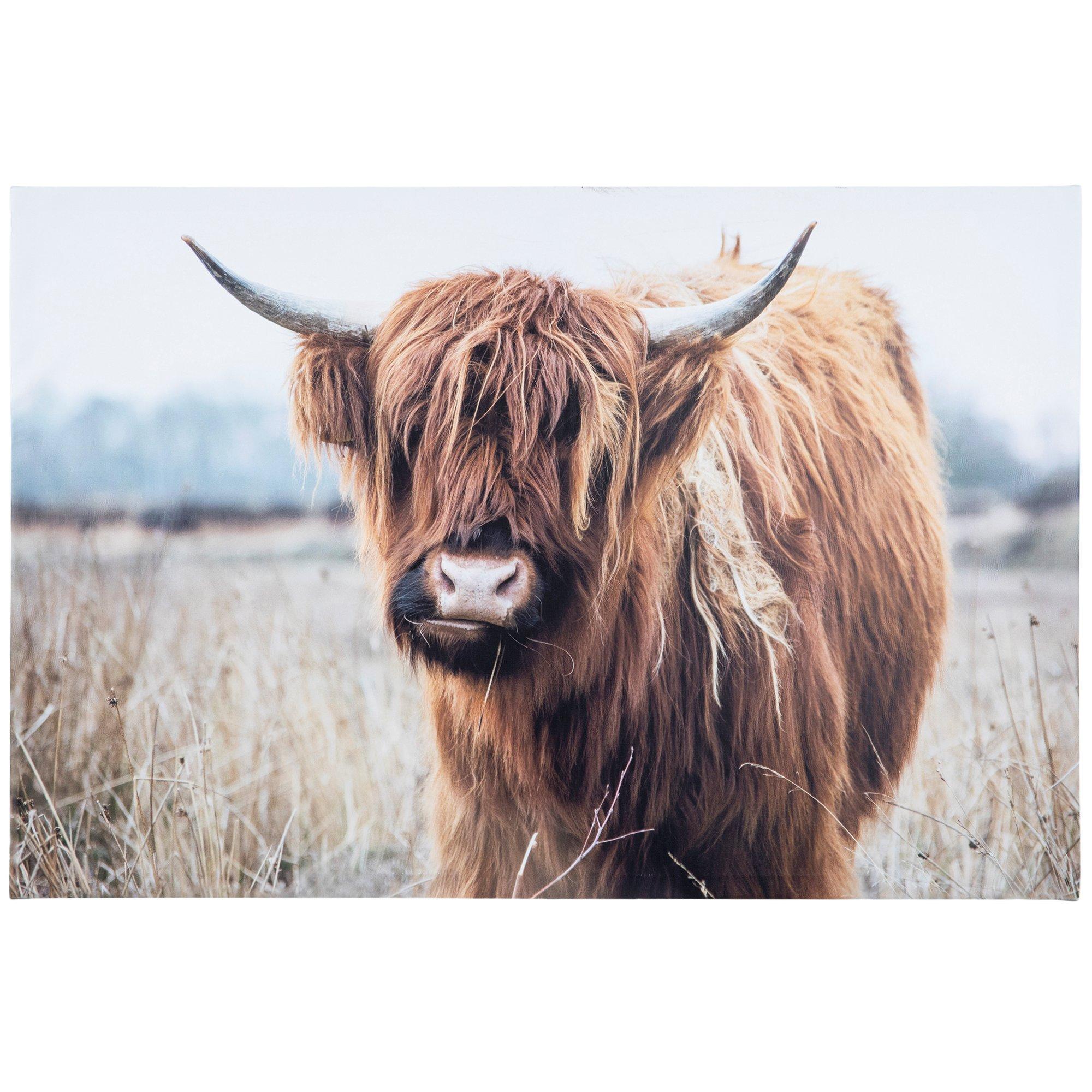 highland cow wrapping paper Fabric