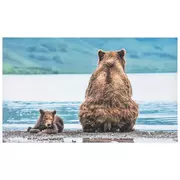 Grizzly Bear with Sunglasses, Mountains in Reflection Sticker for Sale by  anthonydesignar