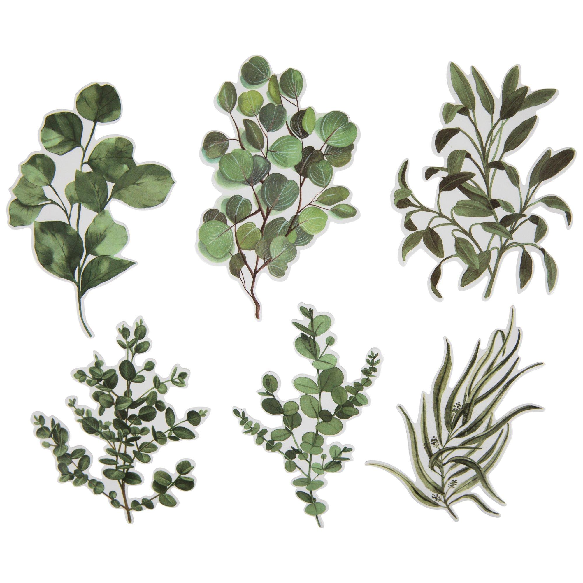 Eucalyptus Vinyl Stickers Hobby Lobby 2192599