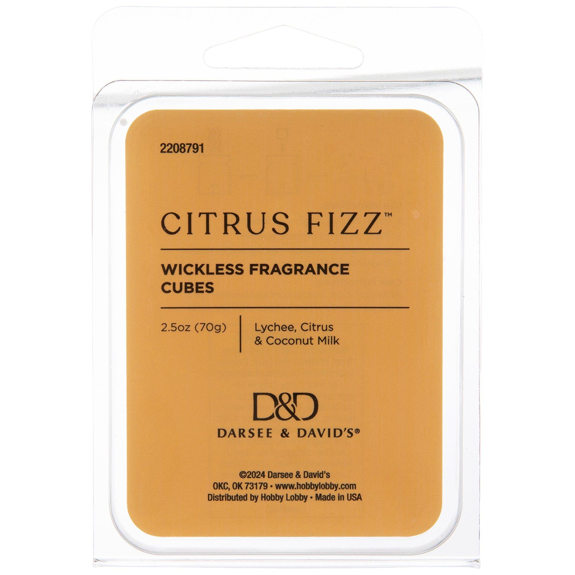 Citrus Fizz Wax Melts | Hobby Lobby | 2208791