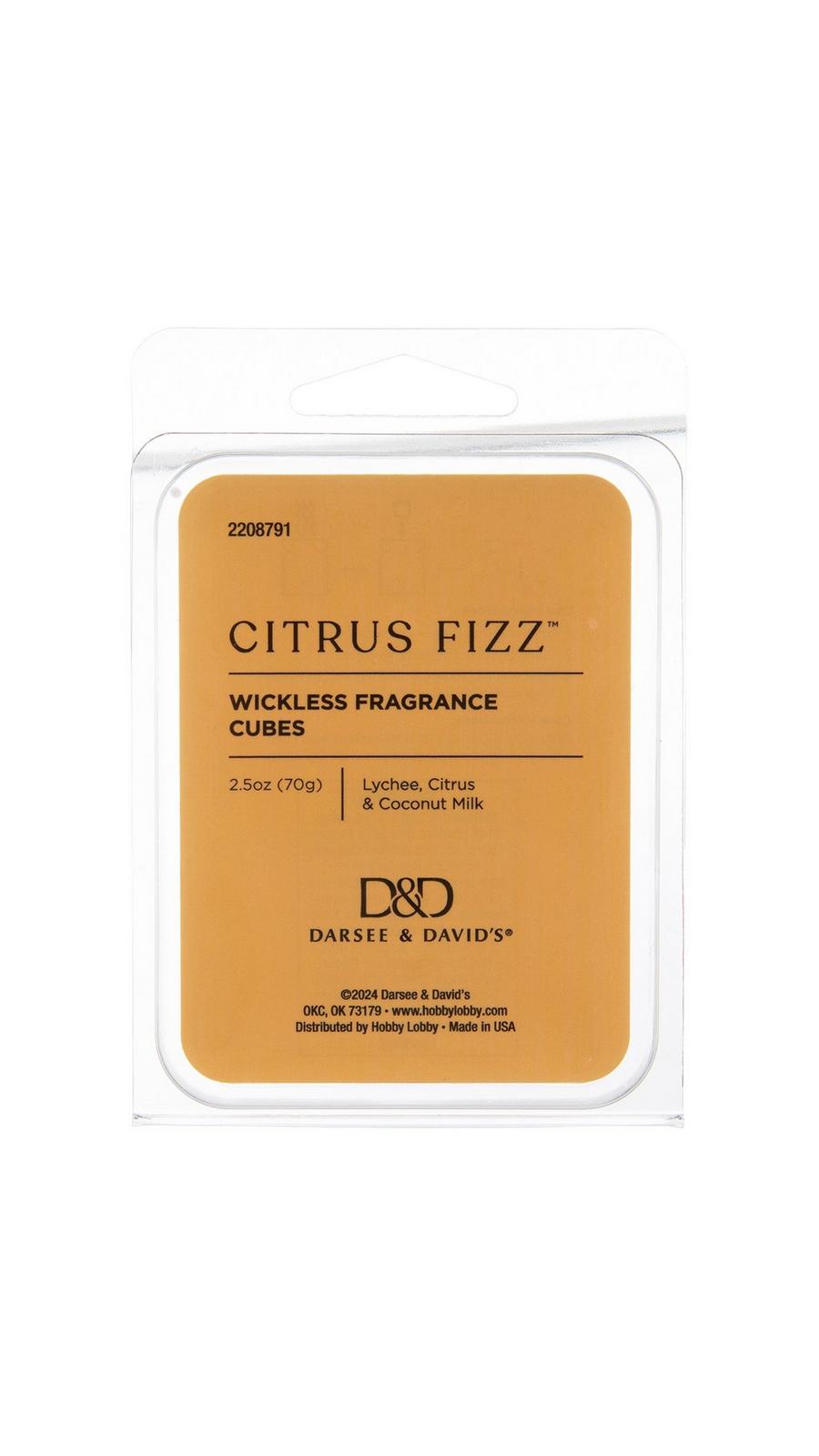 Citrus Fizz Wax Melts | Hobby Lobby | 2208791