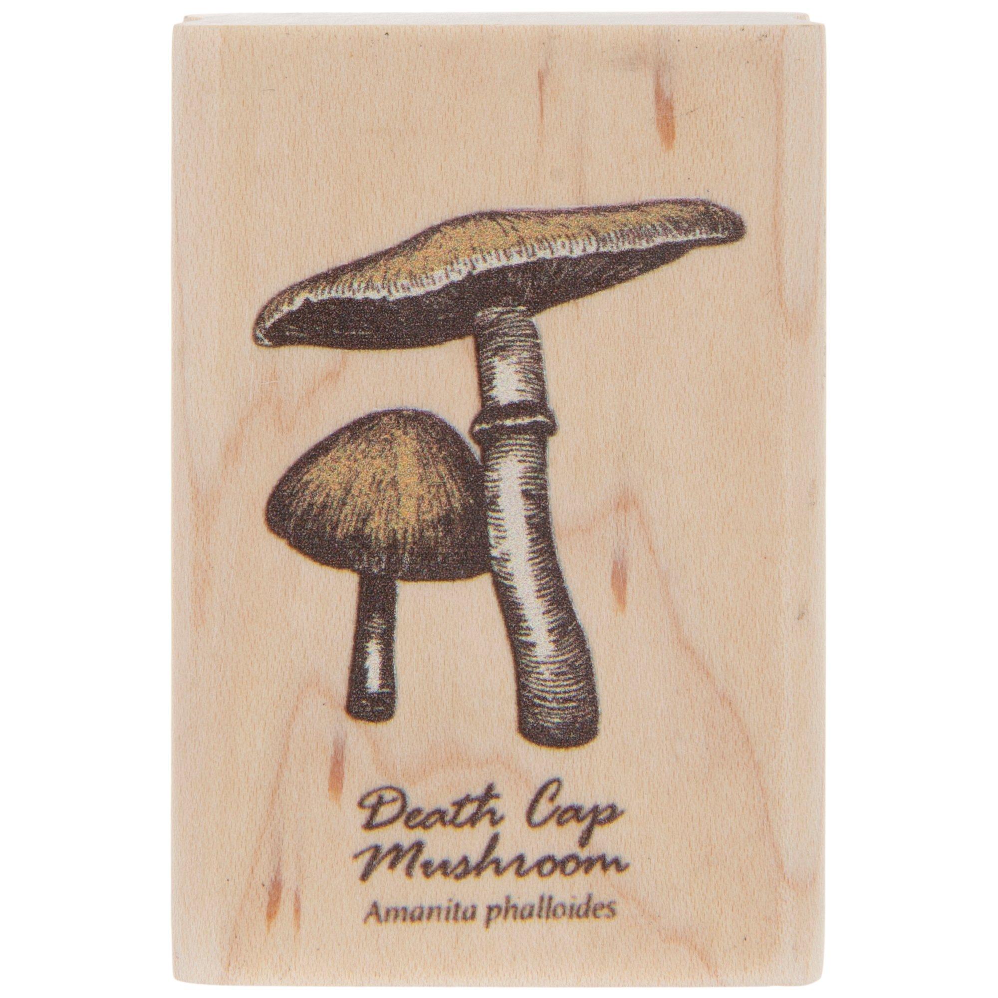 RISYPISY Mushroom Wooden Rubber Stamps, 10pcs Specimen Bottle Rubber Stamps  & 12 Sheets Jar Shape Cards for Card Making, DIY Craft, Scrapbooking