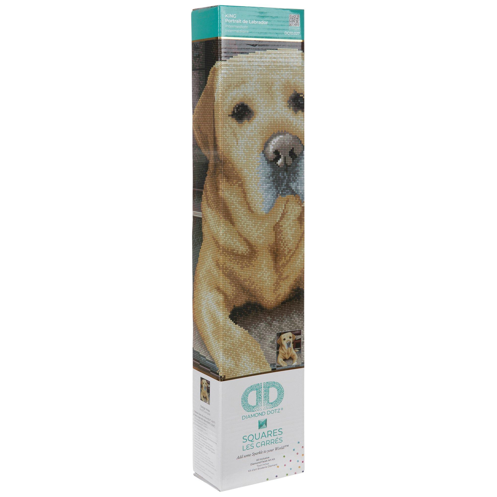 Cute Dog Diamond Painting Set by Crafting Spark. CS2715 Diamond Art Kit.  Labrador Large Diamond Painting Kit -  Denmark