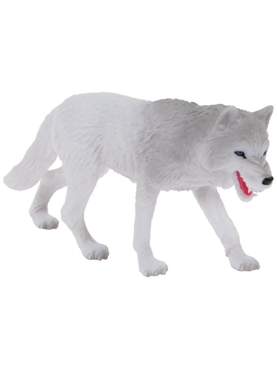 小物 wolf&wolff le cap atelier103 themadshop 2251056-81110944-12172024-