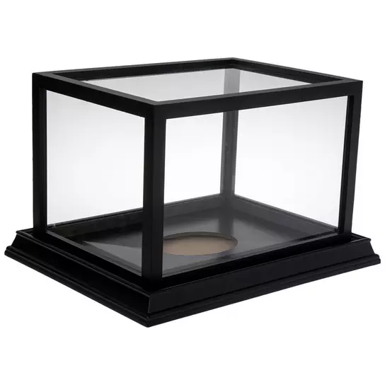 Shallow Front-Load Display Case, Hobby Lobby