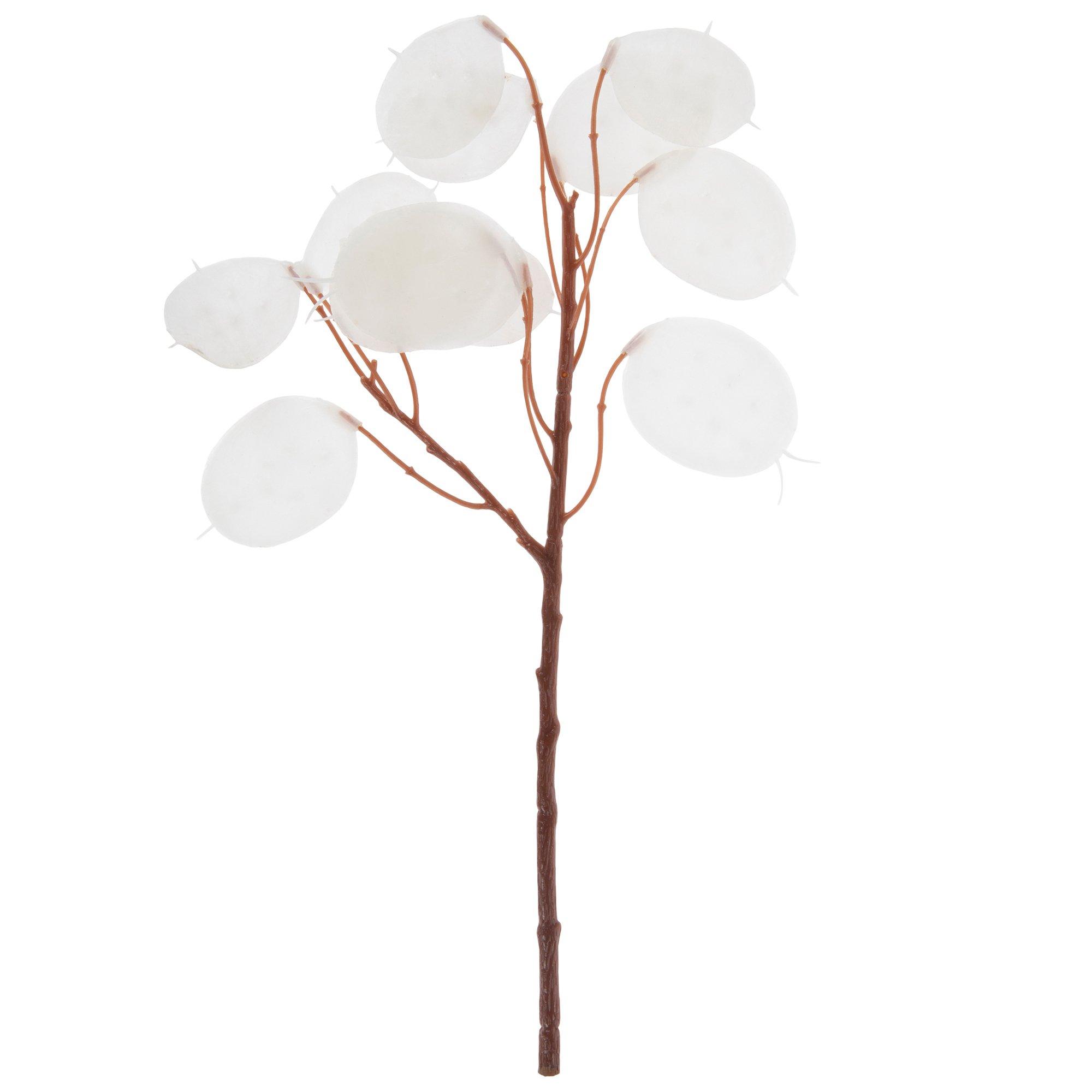 White Lunaria Annua Pick, Hobby Lobby