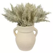 Pampas Grass In Ceramic Vase