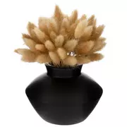 Bunny Tails In Black Ceramic Vase