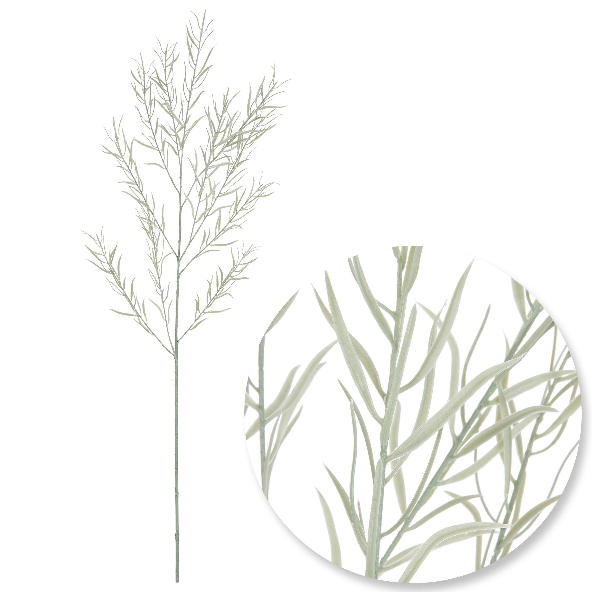 Selected Product Image