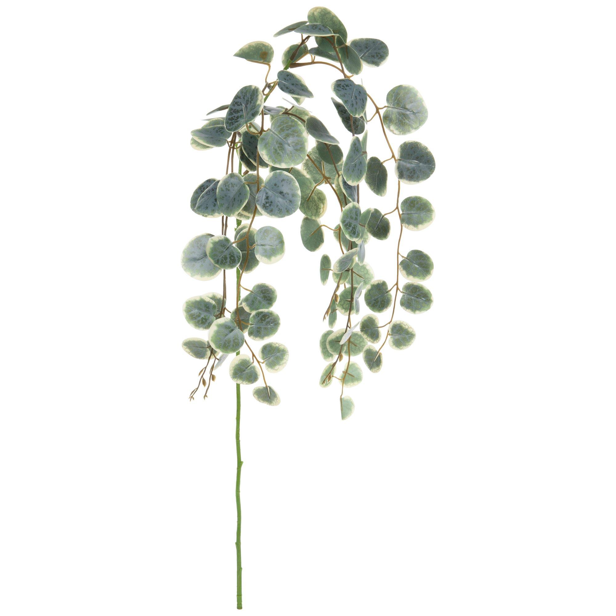 Trailing Eucalyptus Bush | Hobby Lobby | 2253656