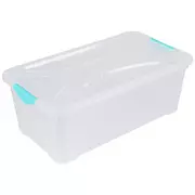 Clear Storage Container
