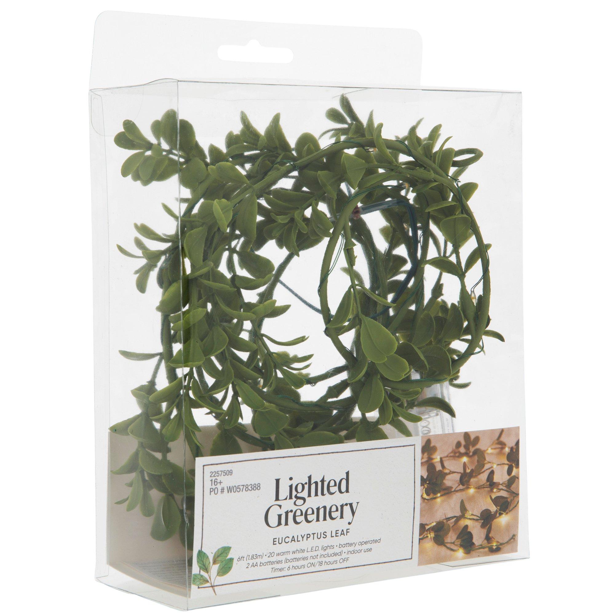 Eucalyptus Leaf Light Up Greenery Hobby Lobby 2257509
