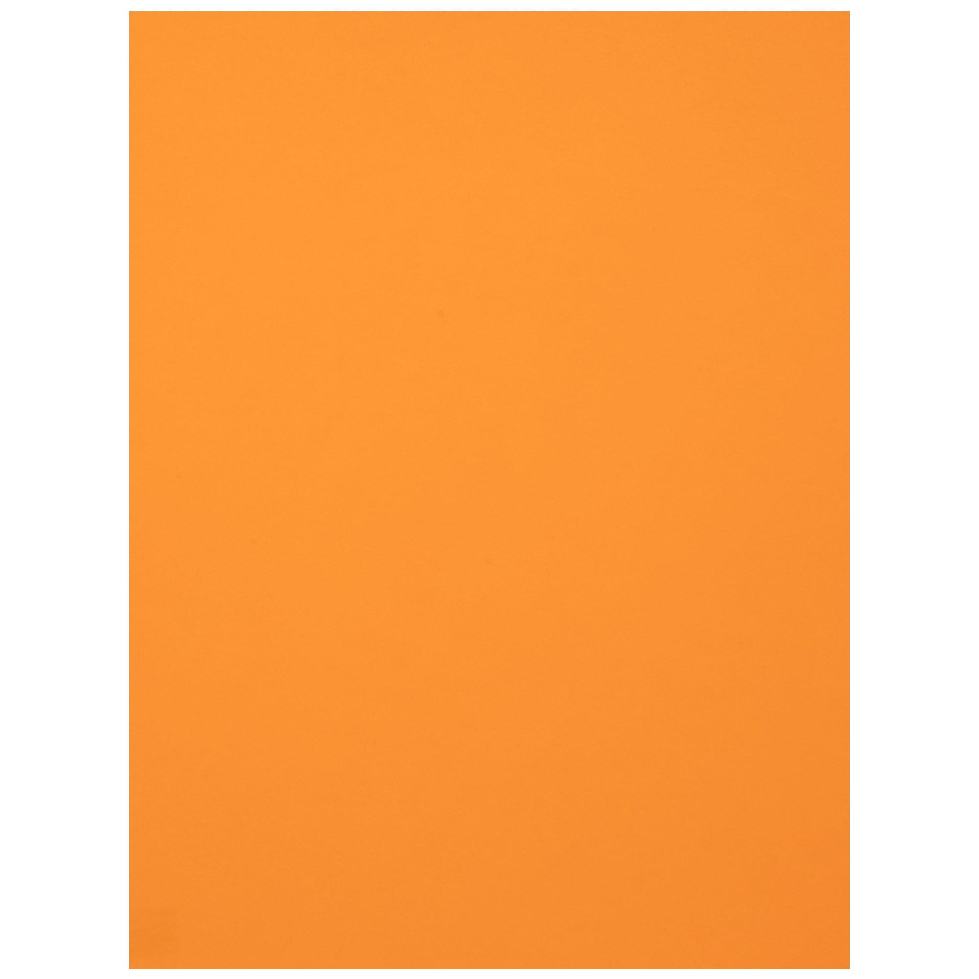 Canson Colorline Paper - 19.5&quot; x 25.5&quot;