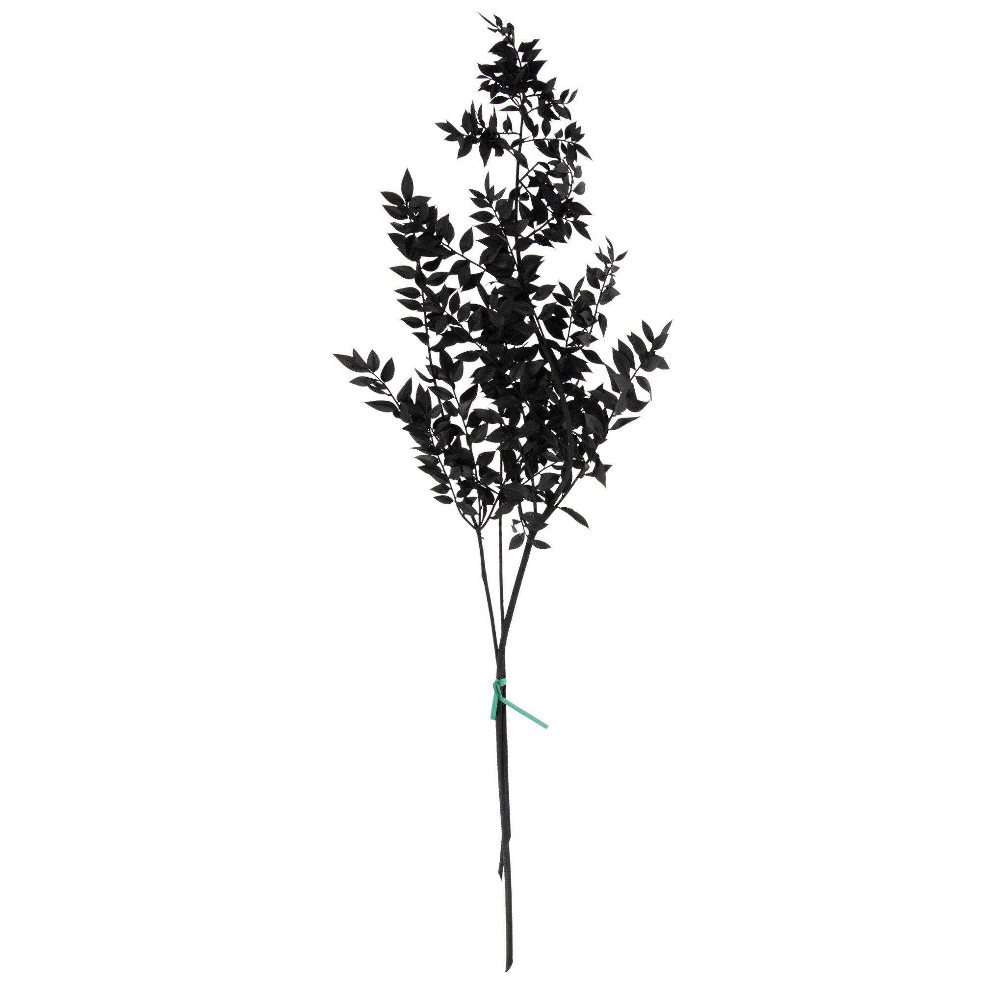 Preserved Ruscus Bundle | Hobby Lobby | 2276152