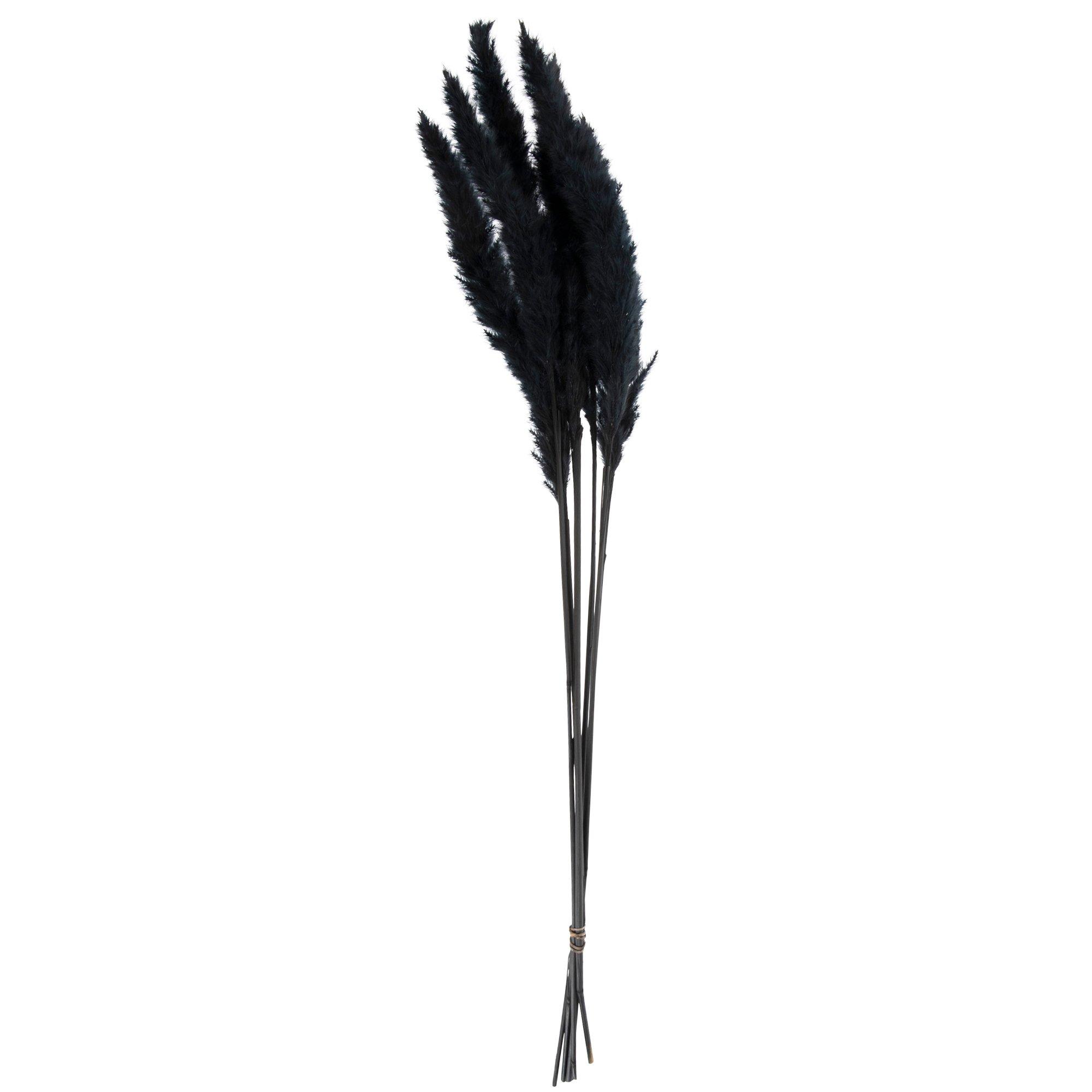 Black Mini Pampas Grass Bundle Hobby Lobby 2276178