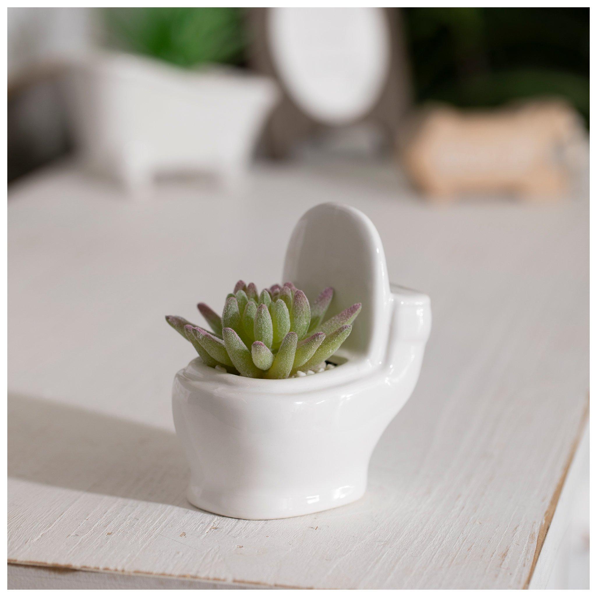 Succulent In Toilet Pot Hobby Lobby 2277671