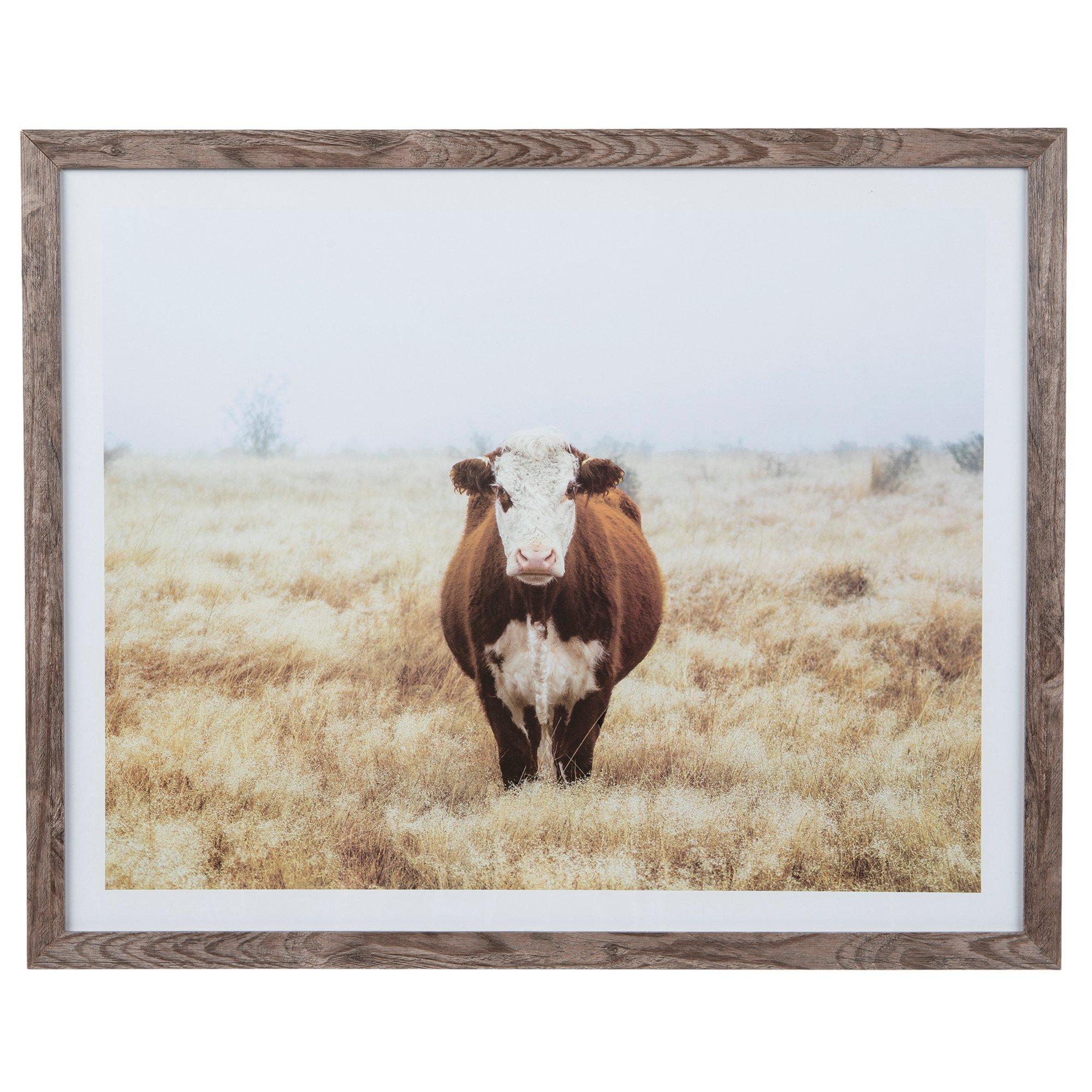 France, Pyrenees, cow wearing cow bell available as Framed Prints, Photos,  Wall Art and Photo Gifts