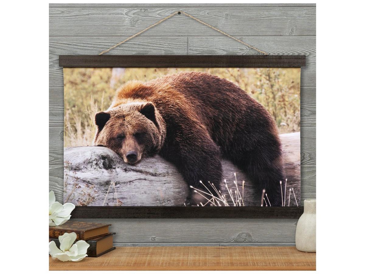 小物入れ Hi Bear Wood Wall Art by beccatapert Sleeping Bear Tapestry Canvas Wall Decor | Hobby Lobby | 2284388