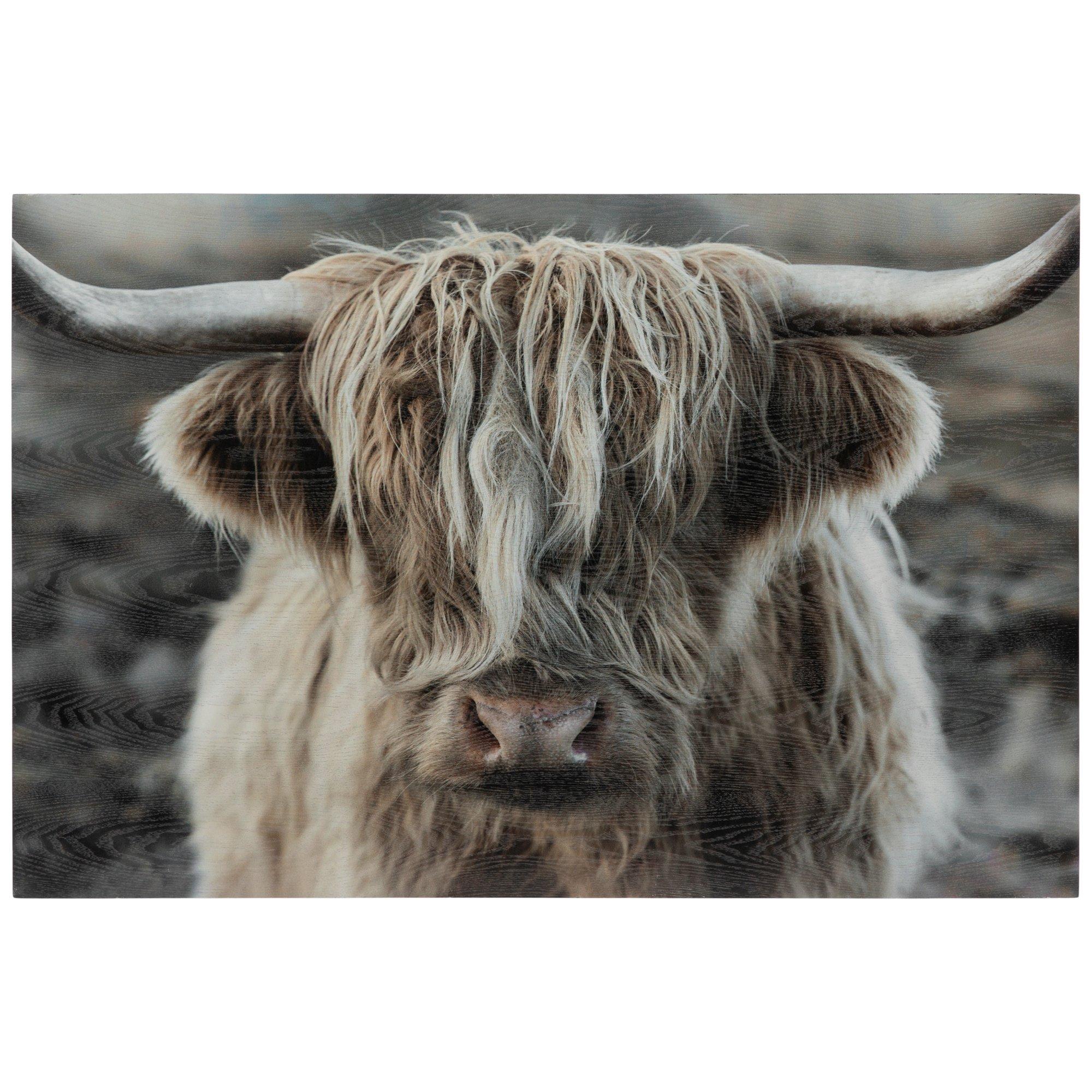 Holiday Highland Cows At Hobby Lobby! From Tabletop Decor To Signs To Cookie Jars