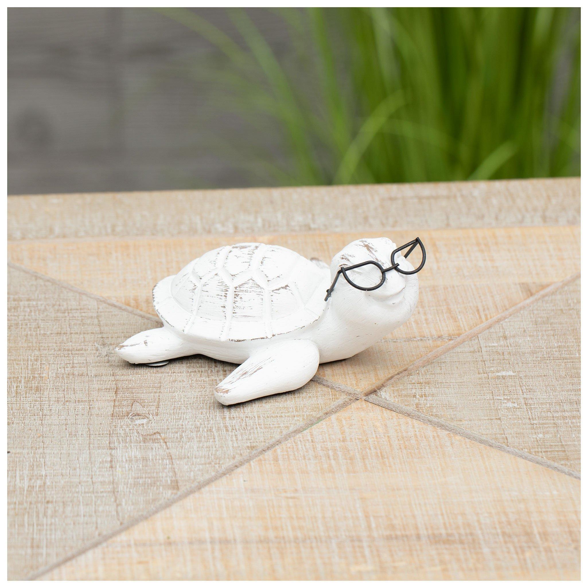 Sea Turtle With Glasses Hobby Lobby 2285484
