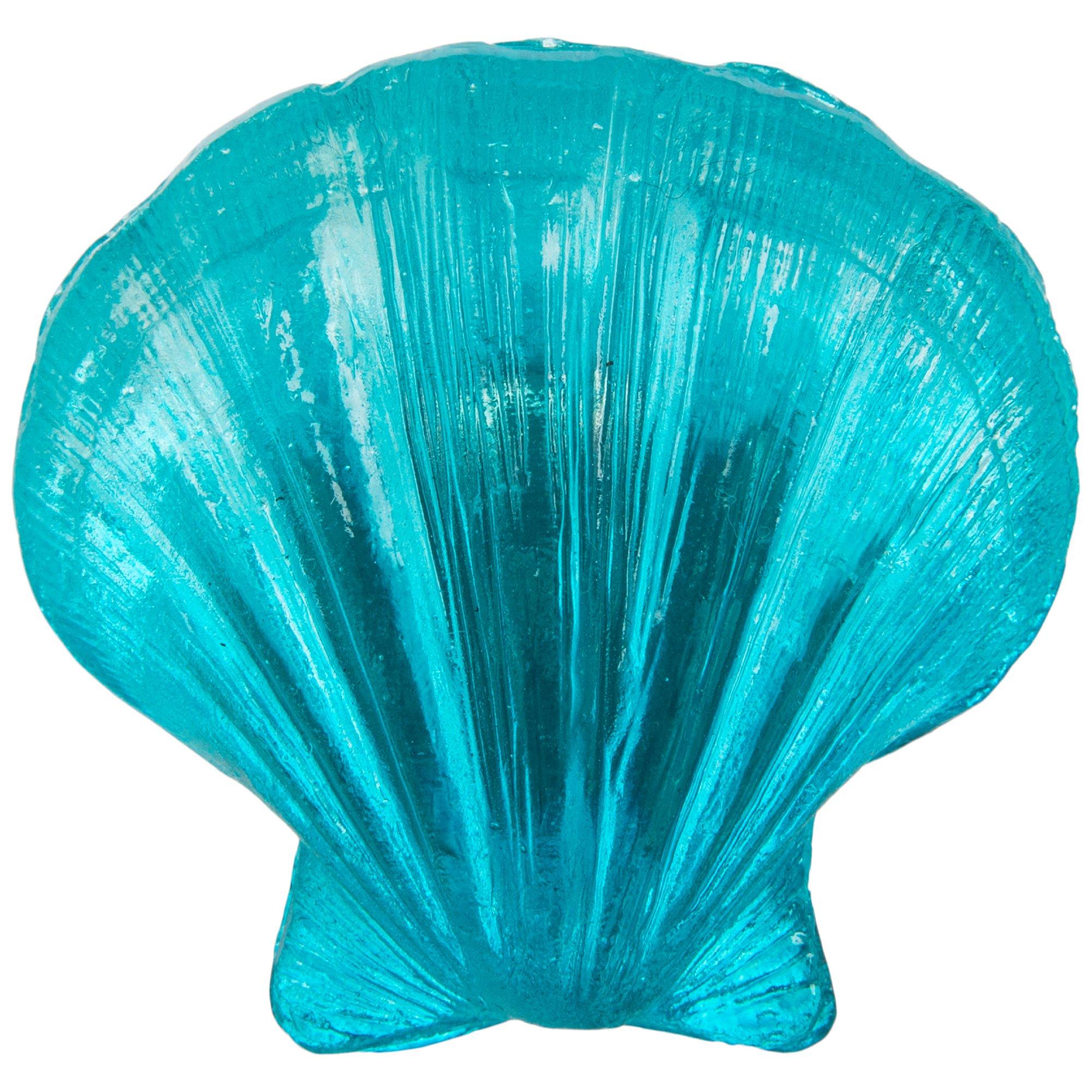 Sea Shell Knob Hobby Lobby 2290872