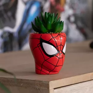 Succulent In Spider-Man Pot