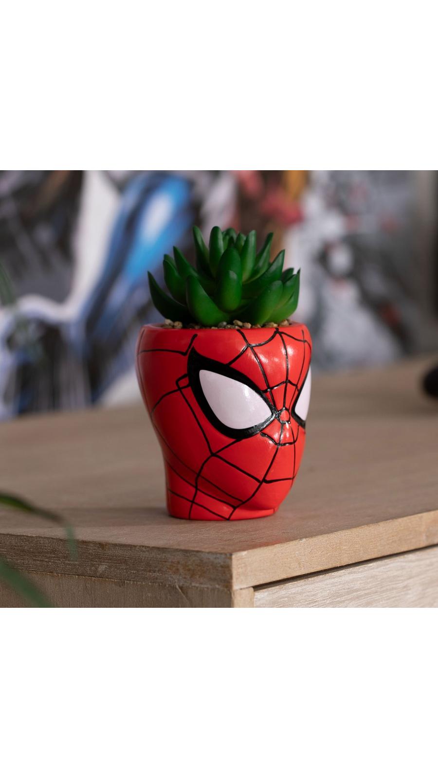 Succulent In Spider-Man Pot