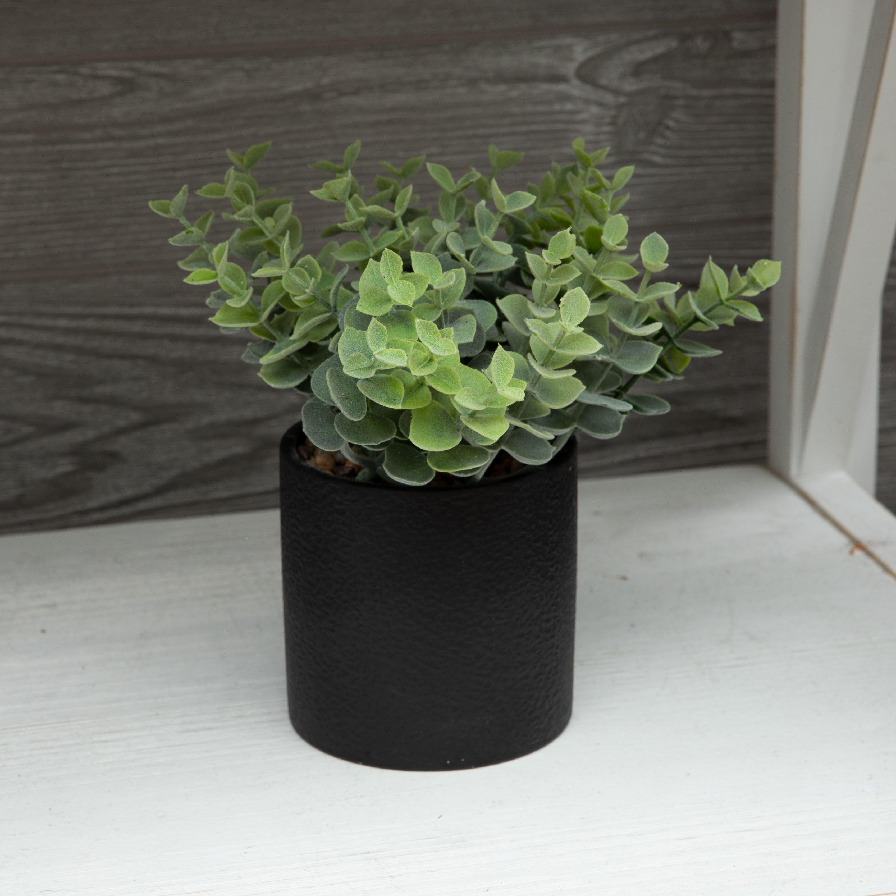 Greenery Potted Plant | Hobby Lobby | 2291995