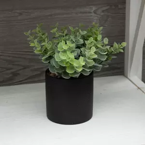 Greenery Potted Plant