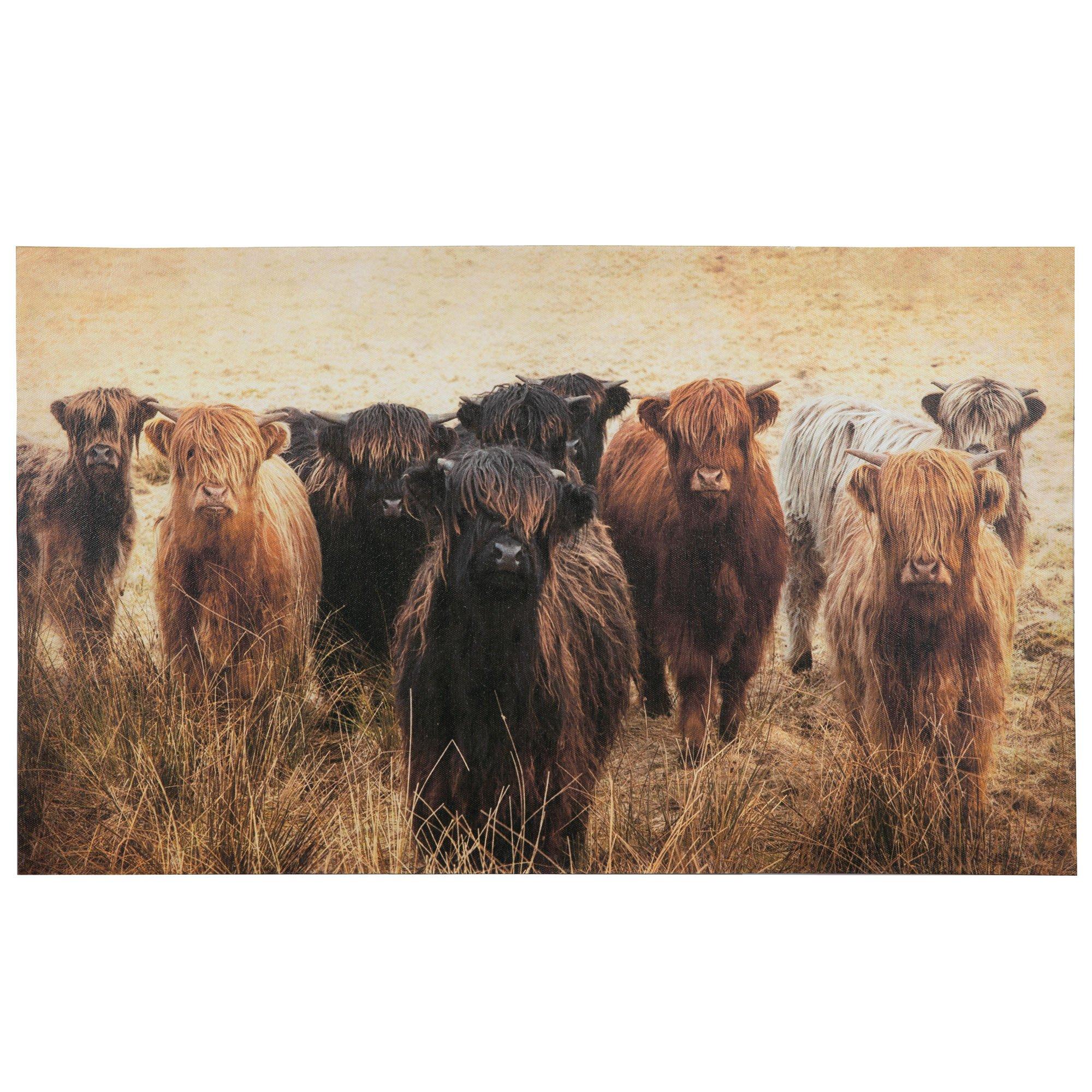 Shaggy Cows Canvas Wall Decor 