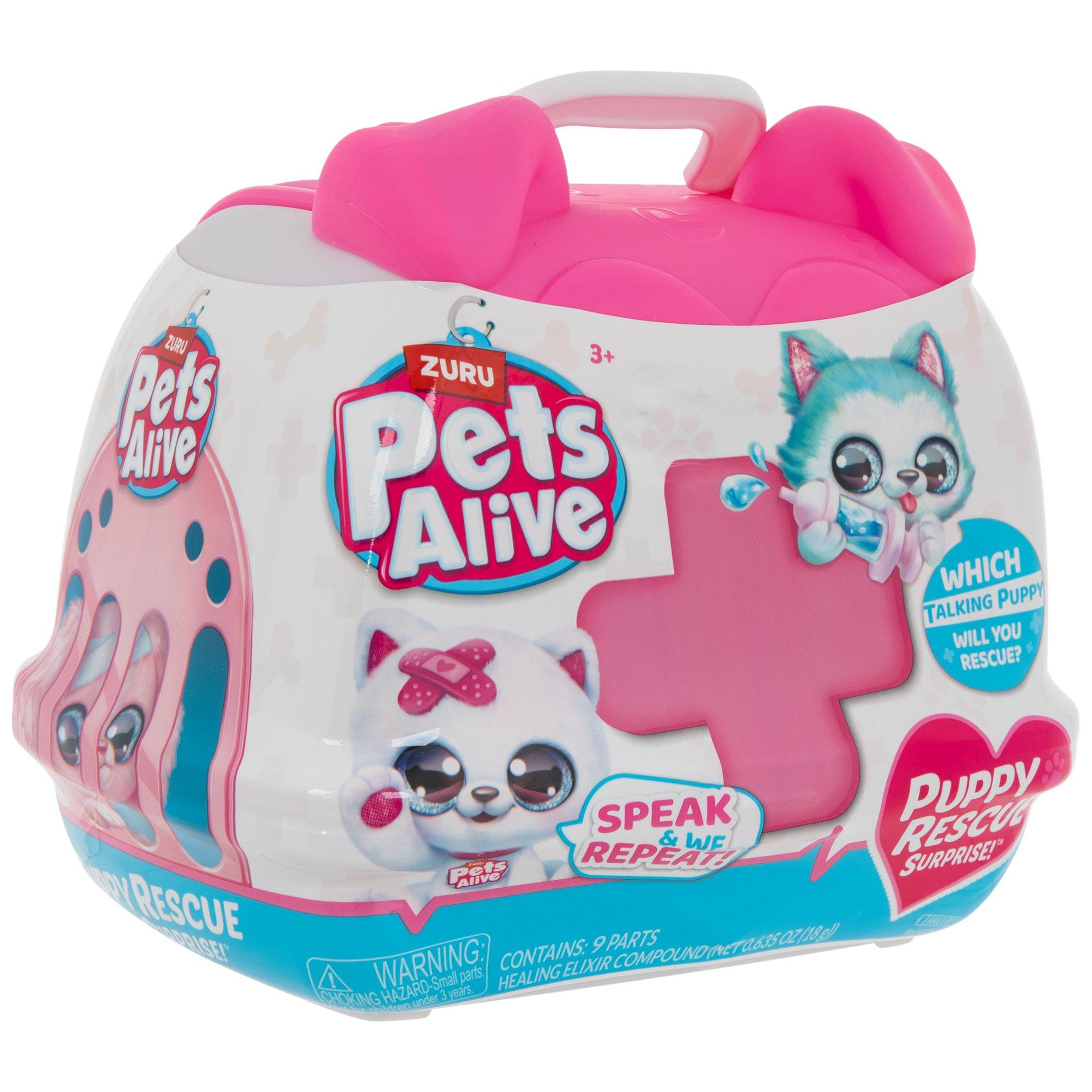 PETs RECO  ペットリコ

ニコわん　　
ベジタブルサポート Pet Rock - The Toy Box Hanover