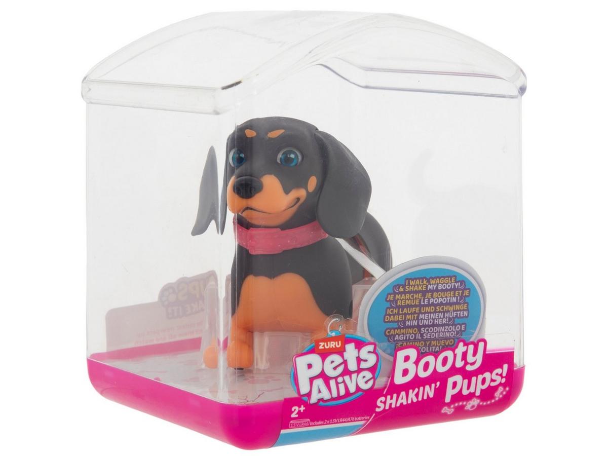 2313476-81150033-01022025-