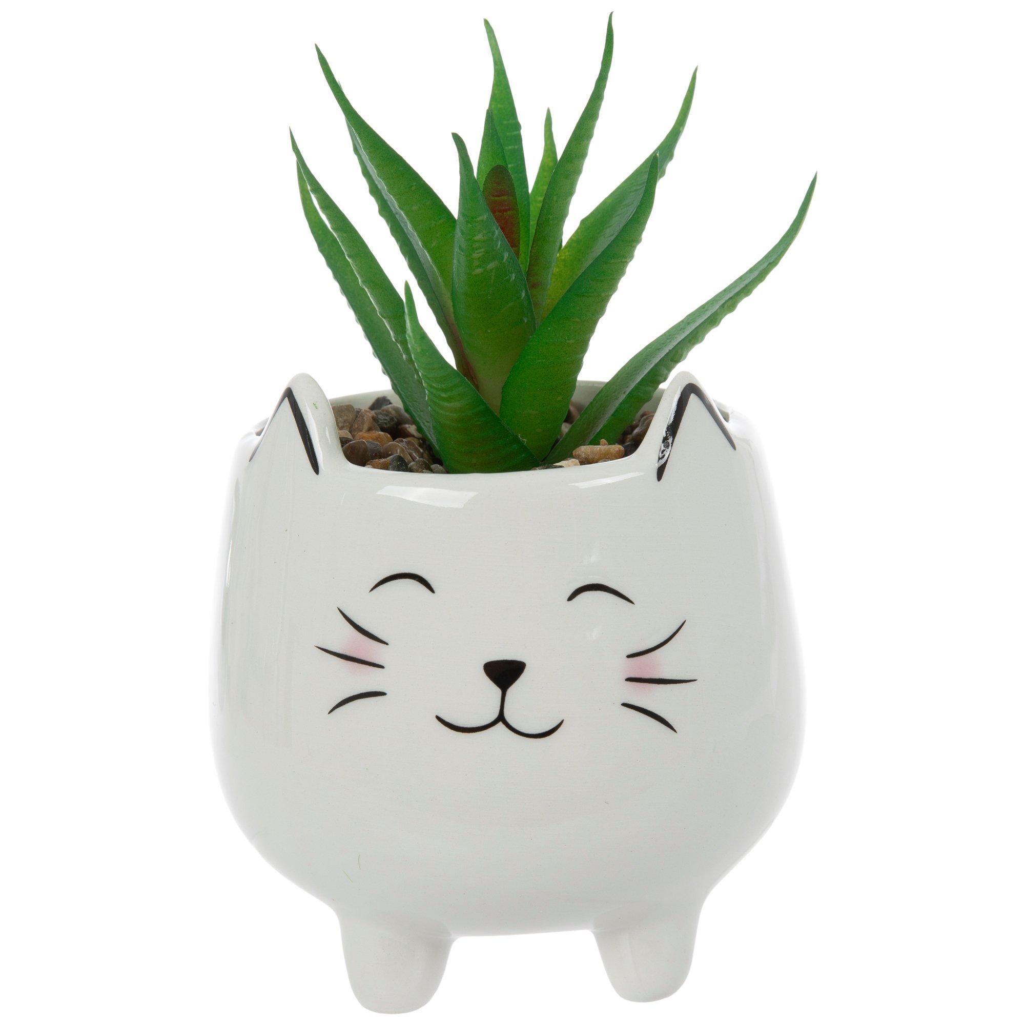 Succulent In Cat Pot view 1