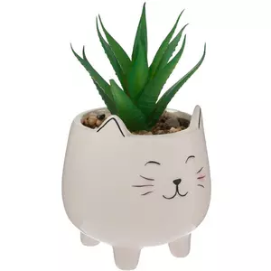 Succulent In Cat Pot