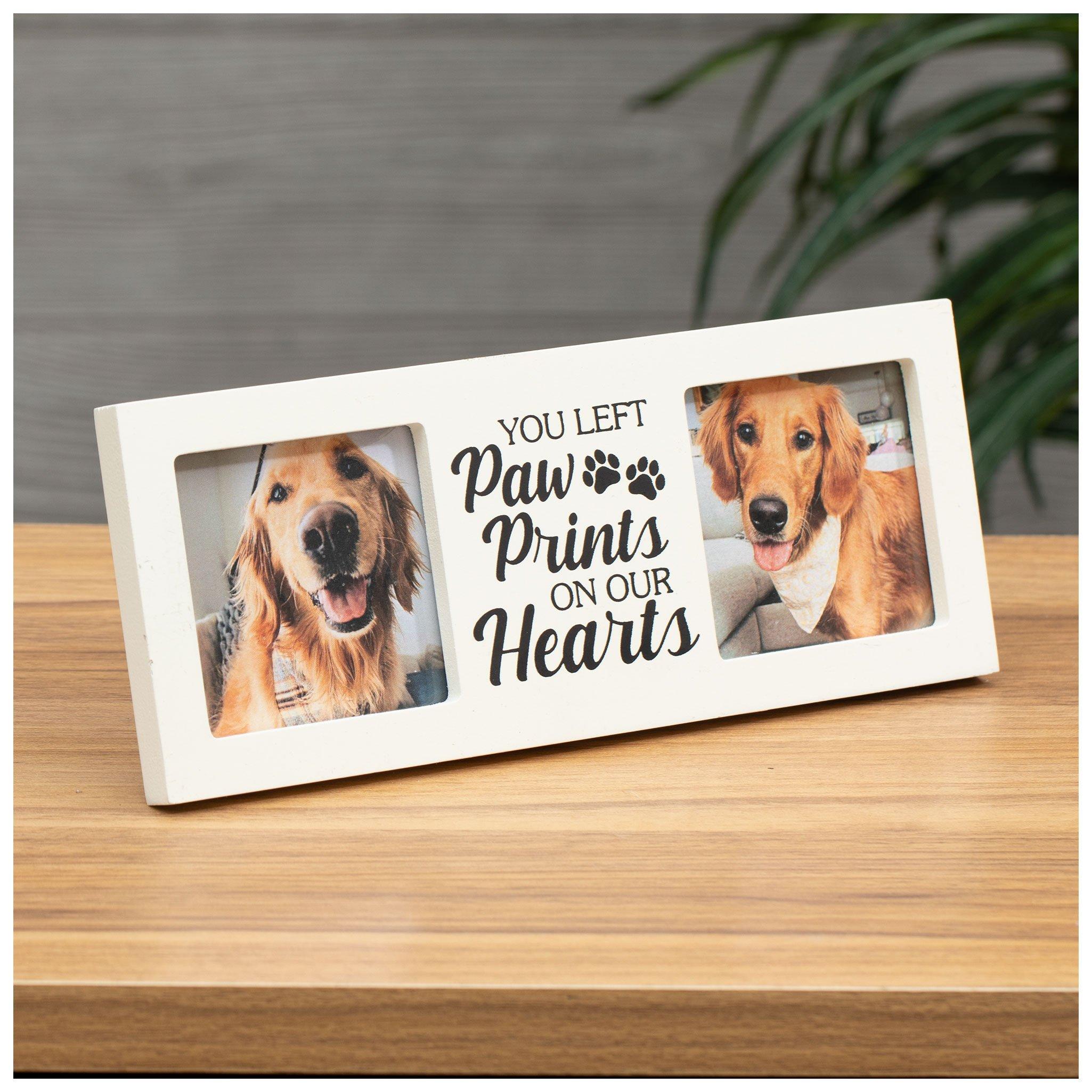 thumbnail image 2 of Spoiled Chihuahua Paw Shaped Magnet – Dog Lover Gift, Car Truck Magnet, Indoor/Outdoor 2 of 5