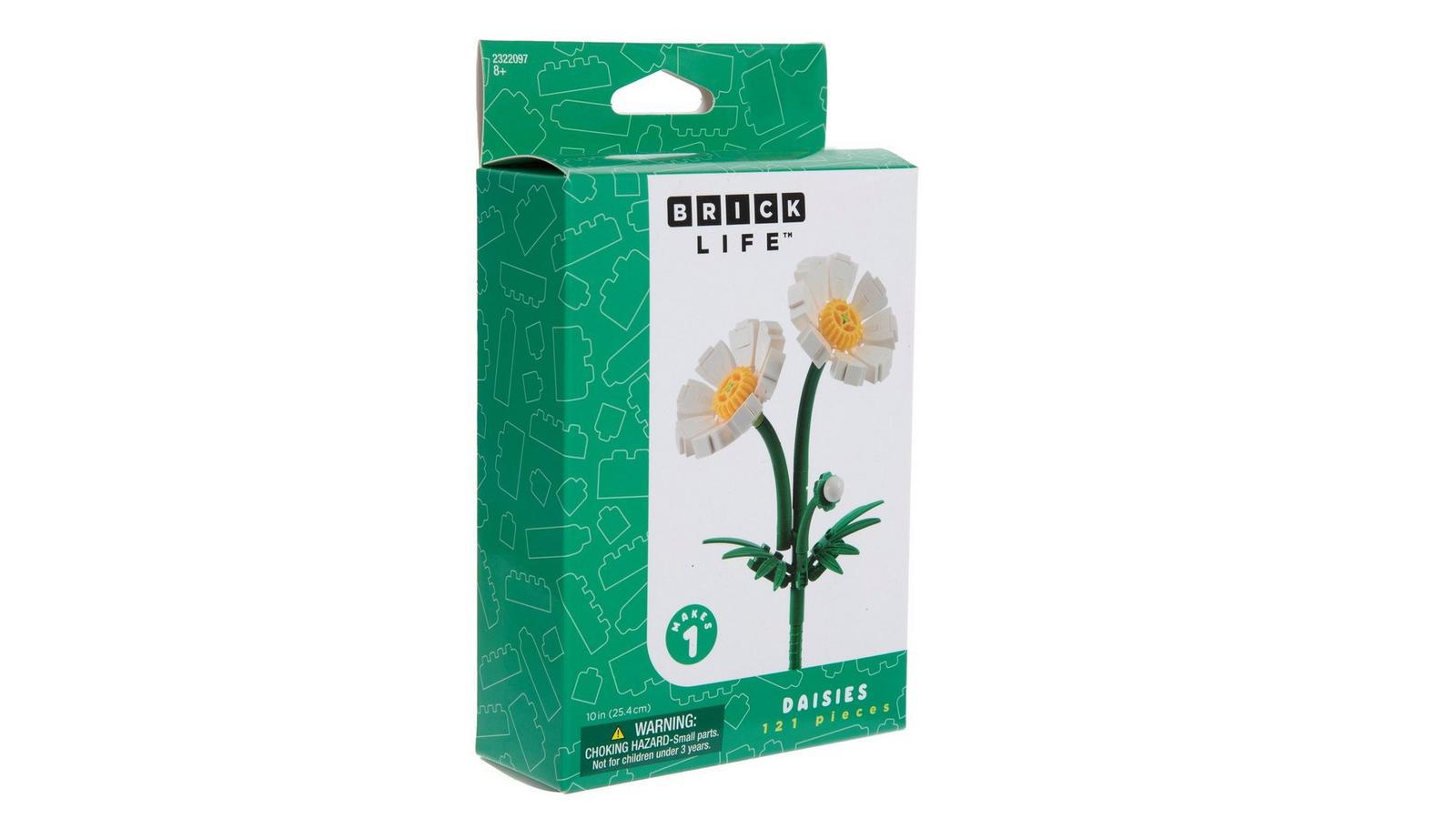 2322097-81154002-10152025-