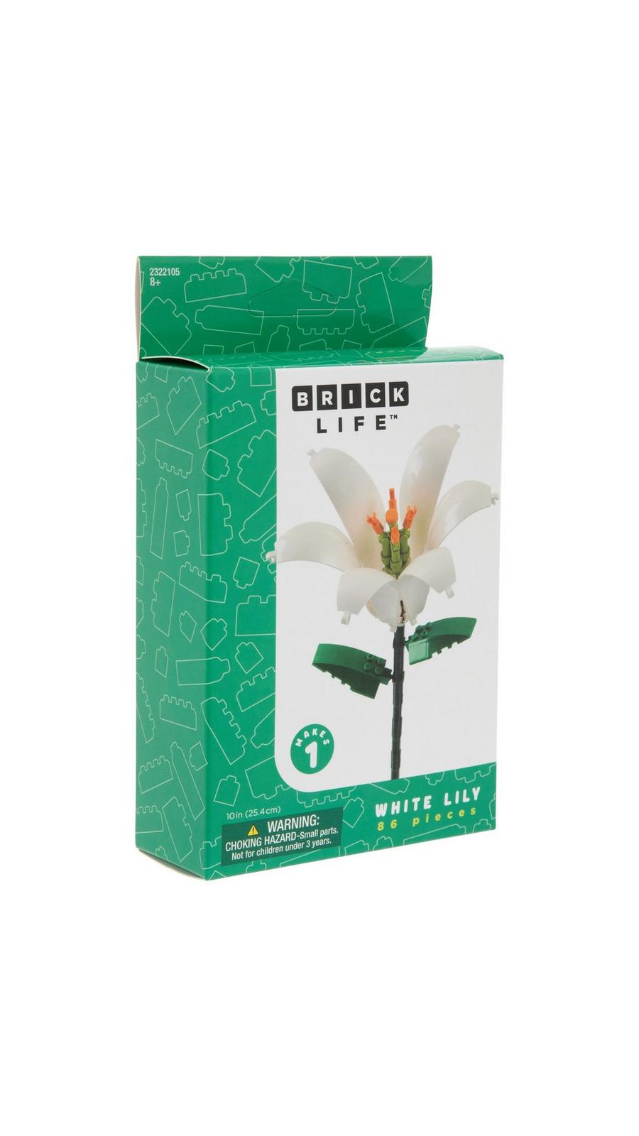 2322105-81154004-10152025-