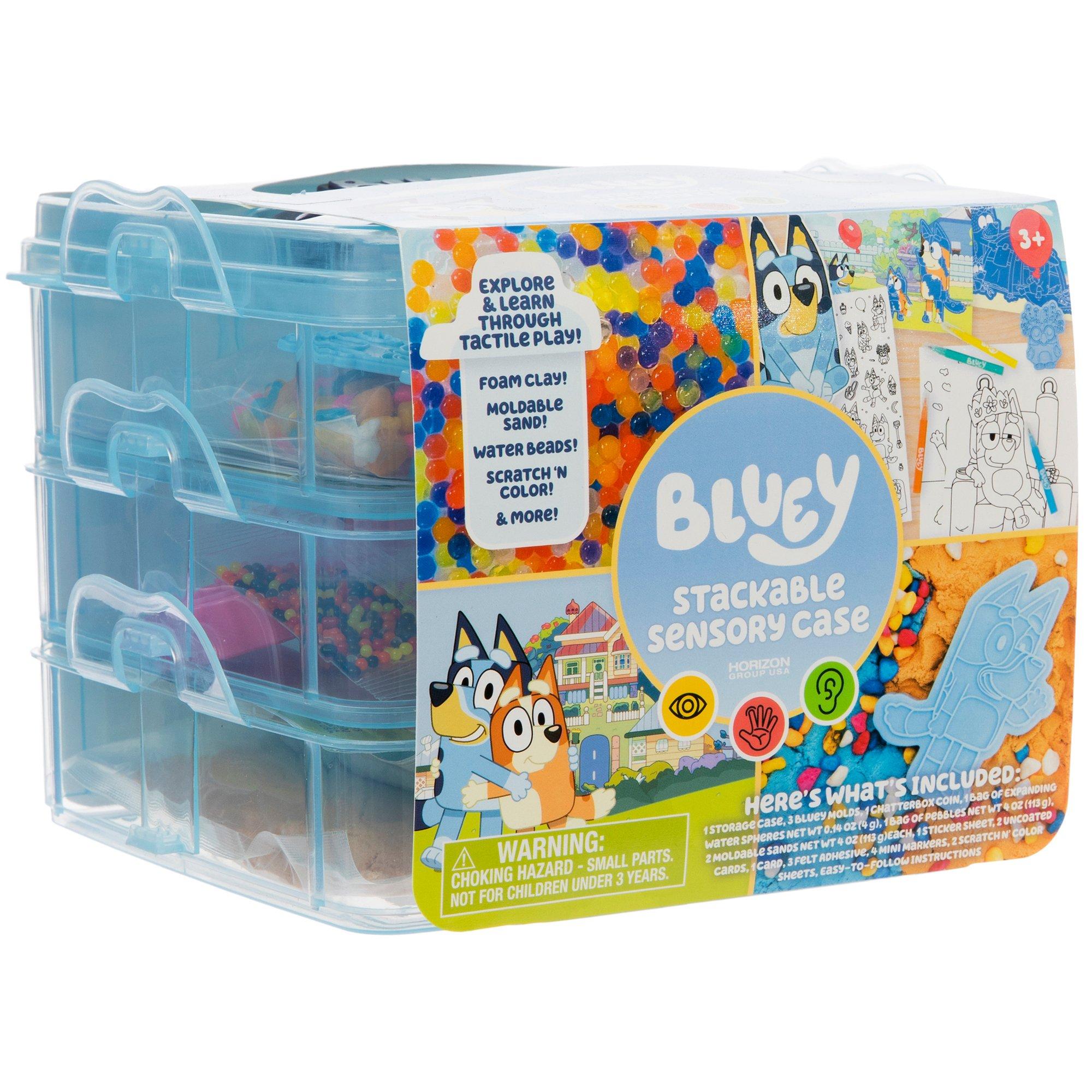 Bluey Stackable Sensory Case | Hobby Lobby | 2322238
